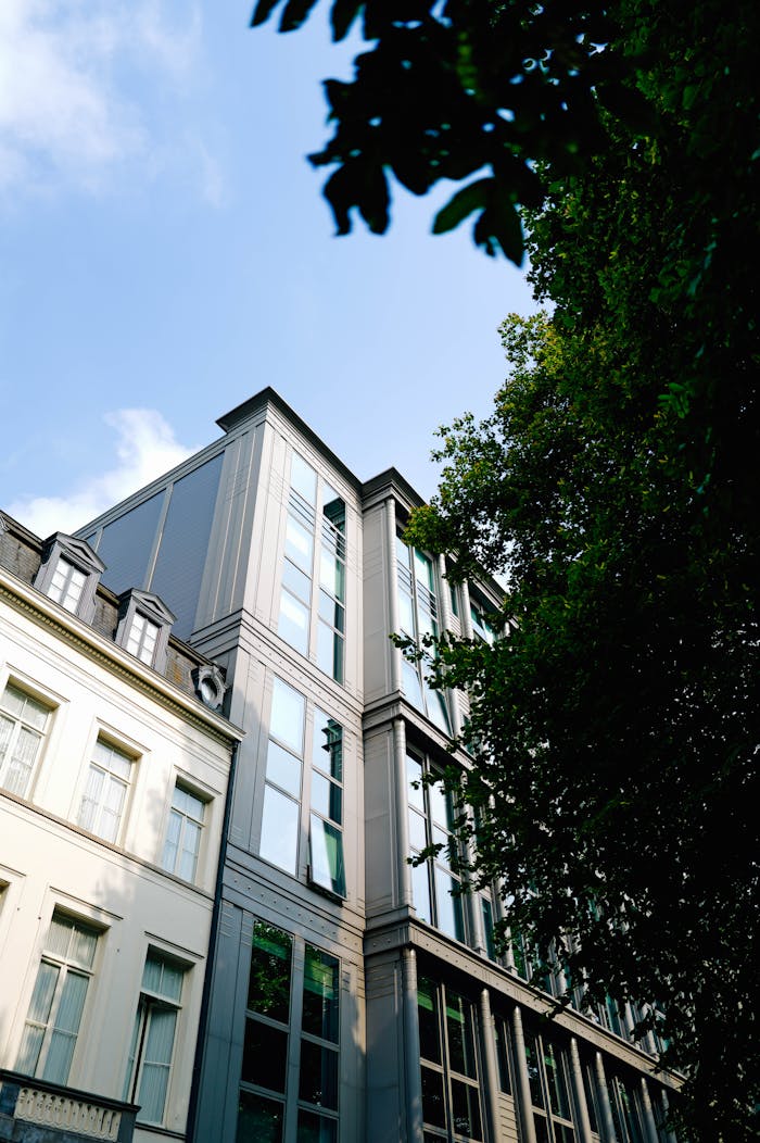 Modern city architecture with glass windows, trees, and blue sky.